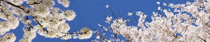 Каталог изображений для фотопечати номер 6