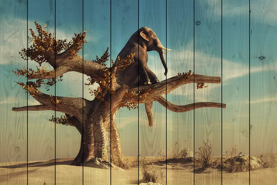 UF-Print номер 63